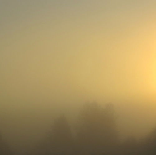 Miya Ando Morning Santa Cruz, 2014