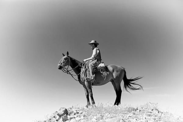 07Af342B896218D46B08C1Ea4903900Ej