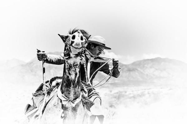 0B541F6052238B1Ca0C09A38B1D41021J