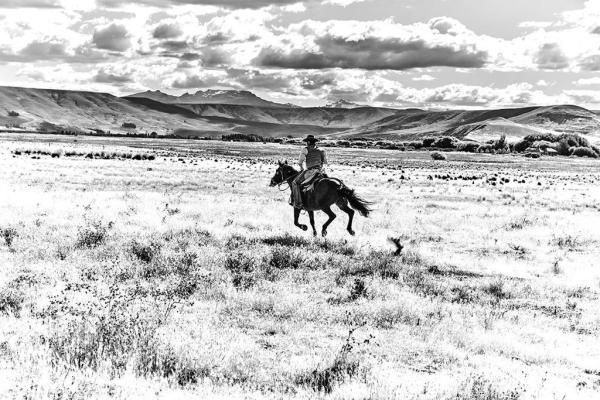 78D698012C2F3306Fc1B86Aed461Ad54J