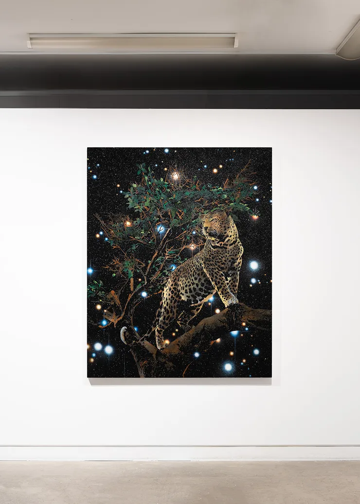 Page Reuben Paterson 21