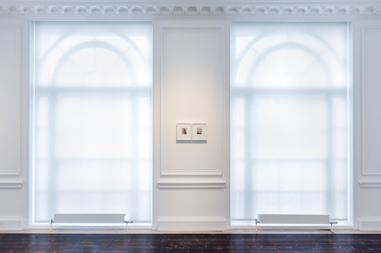 Warhol Paulcoulon Hd 4036