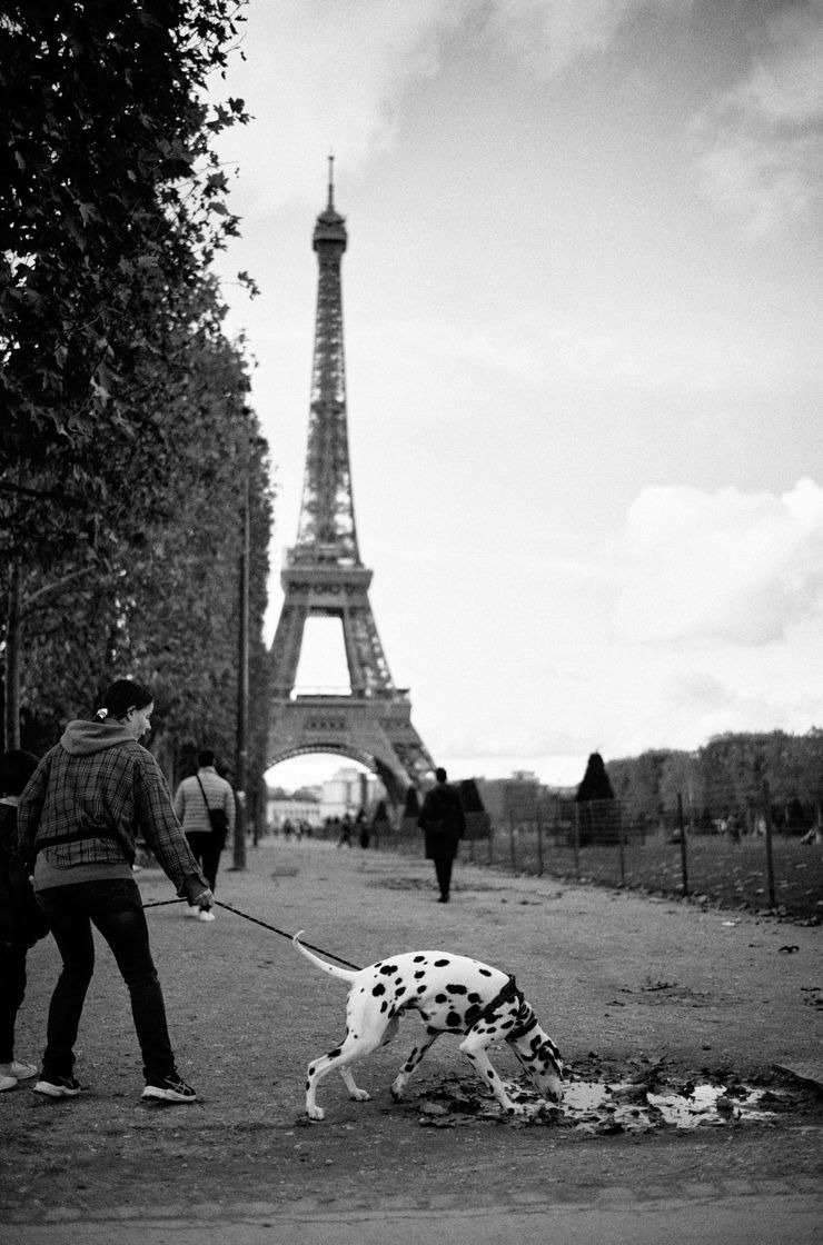 221117 Paris Edits 101