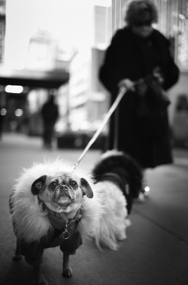 220207 Nyc Street Scenes 026