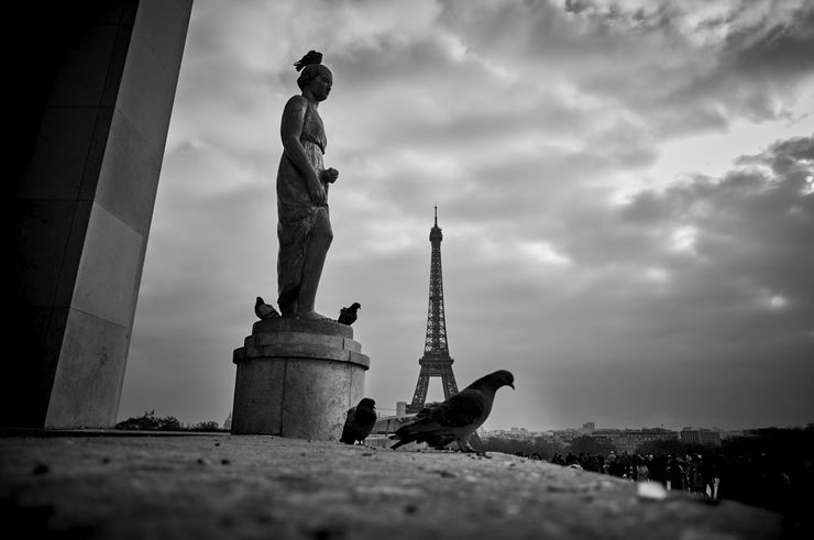 241120 Paris Series 277