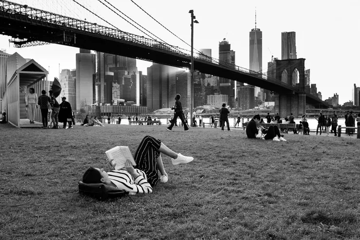 Copyright Steve Miller