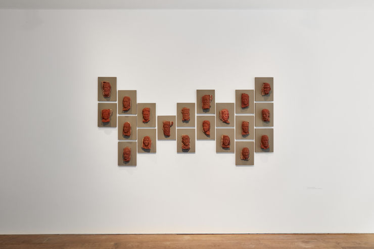 Rosenfeldporcini Figure 030