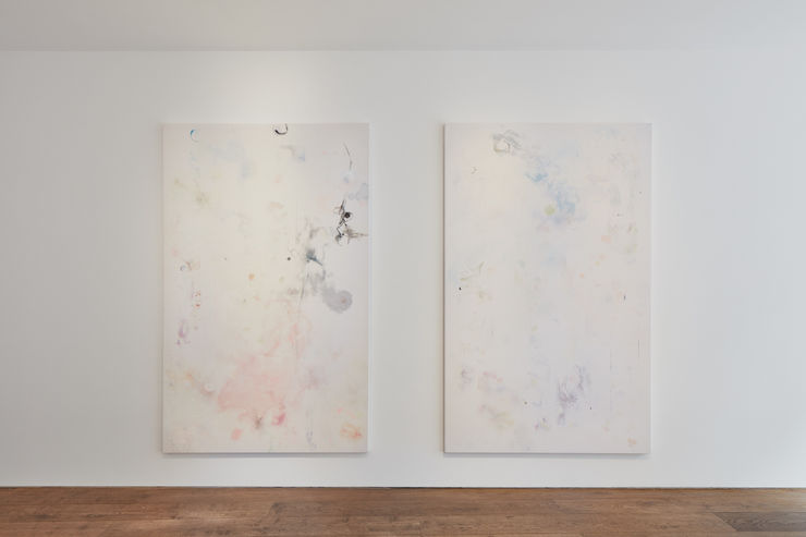 Rosenfeld Porcini 009