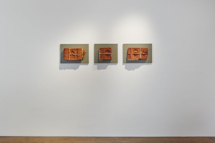 Rosenfeld Porcini 006 1