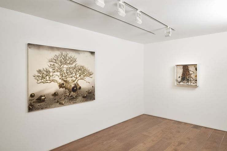 Rosenfeld Low Res 17