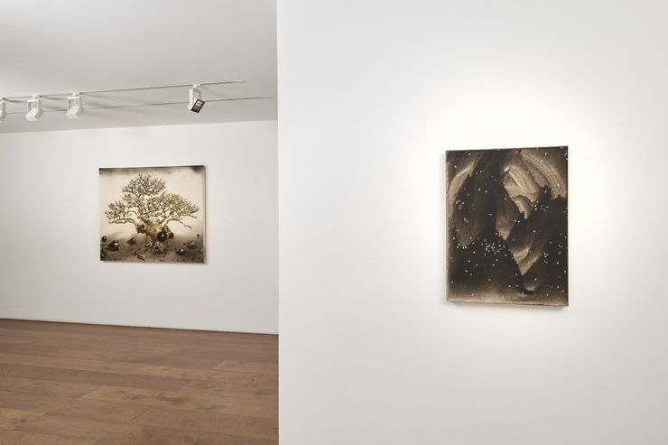 Rosenfeld Low Res 18