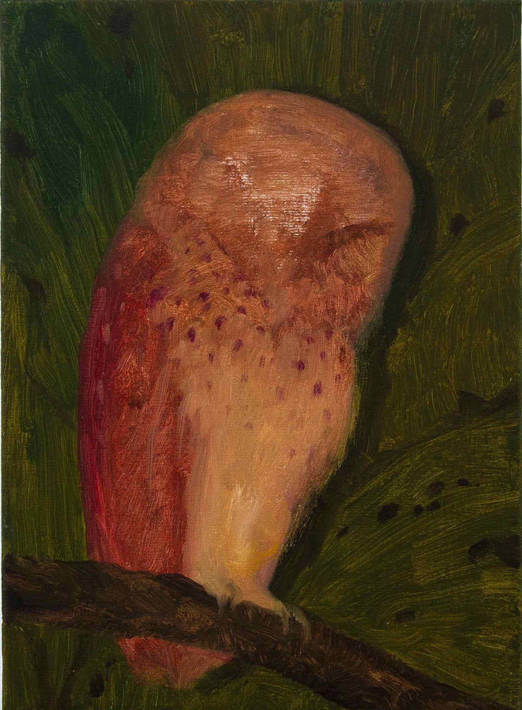 Xie Lei, I will be your mirror 21, 2019