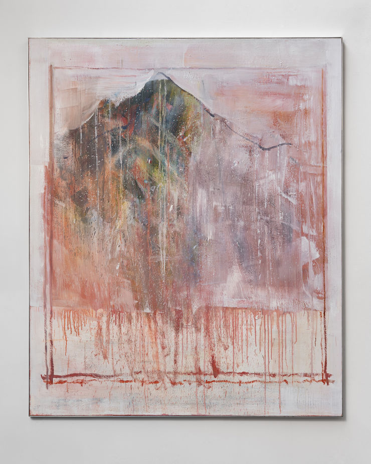 Cesare Lucchini La montagna ammalata , 2024