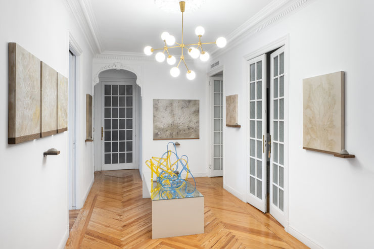 Galleryrosenfeld Hortaleza Paulacaballero 10