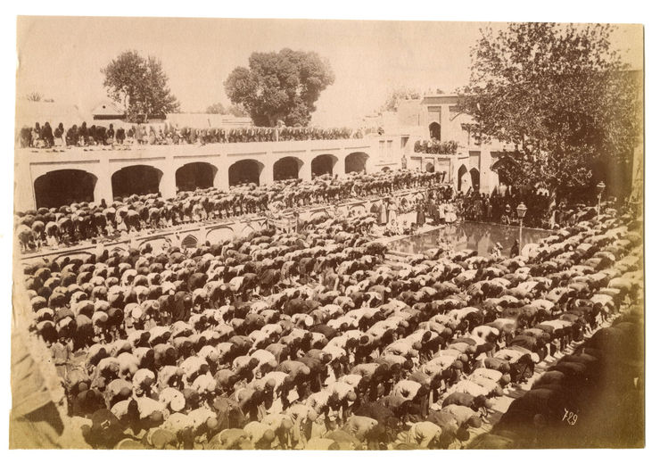 Antoin Sevruguin, Mohammedans at prayer, late 19th Century
