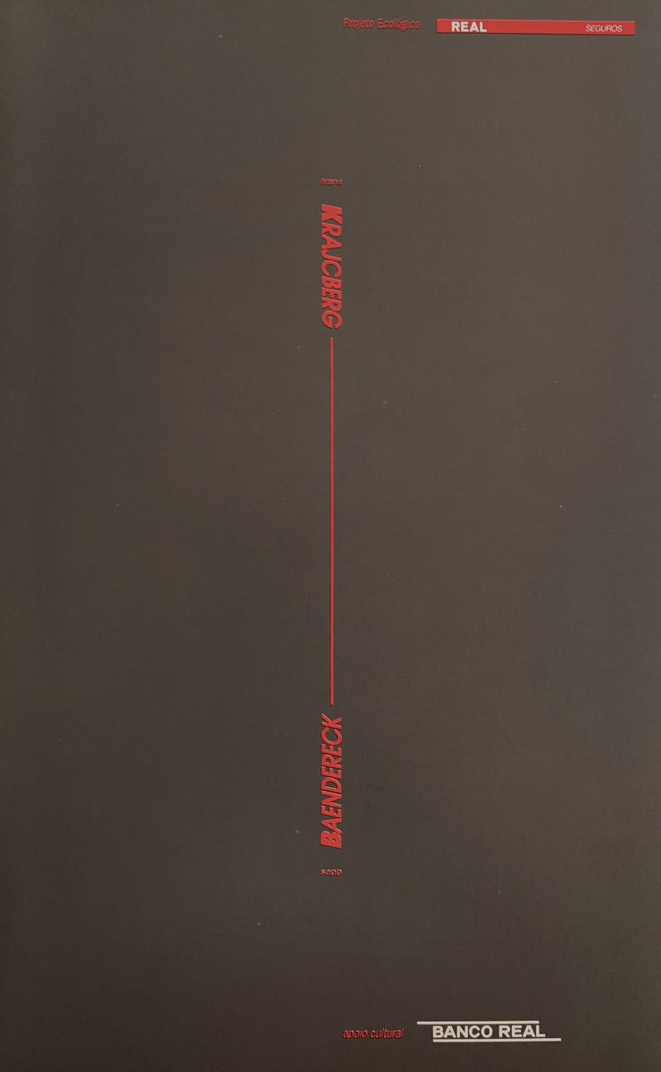 Baendereck - Krajcberg Banco Real, São Paulo