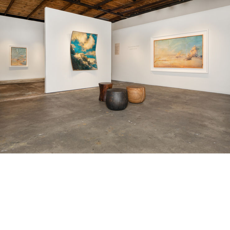 Under the Sky Doug and Mike Starn