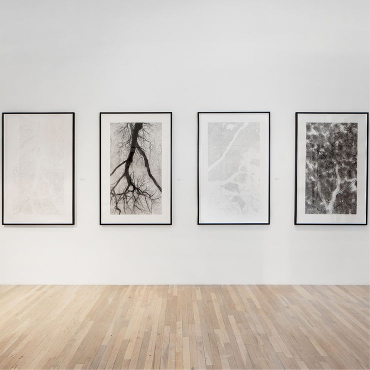 LE BOIS DE MAMETZ BY JEFFREY BLONDES