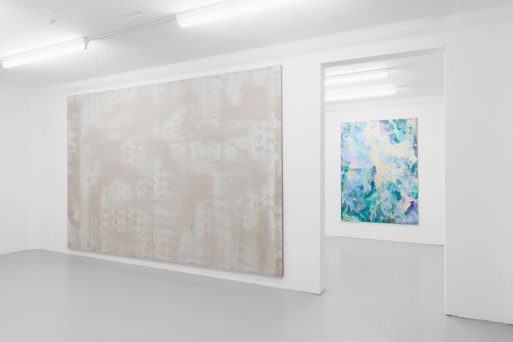 Tyra Tingleff Closer Scrub SALTS, Basel, 2015