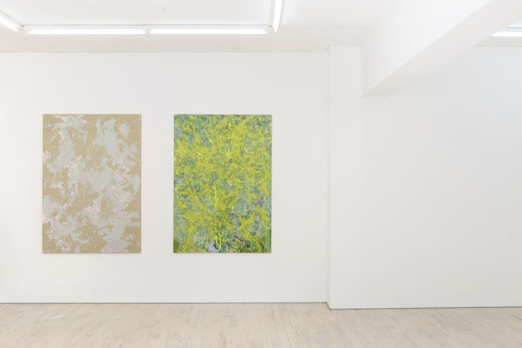 Tyra Tingleff Grinding Your Teeth To Keep Out The Wind Installation View The Sunday Painter 2016 3