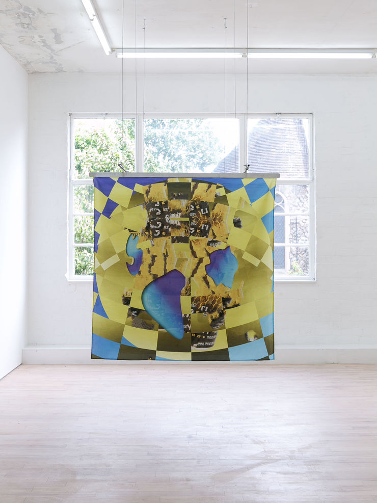 Danilo Correale Boosted, 2014 Organic print on synthetic silk 100 x 100 cm (x 10)