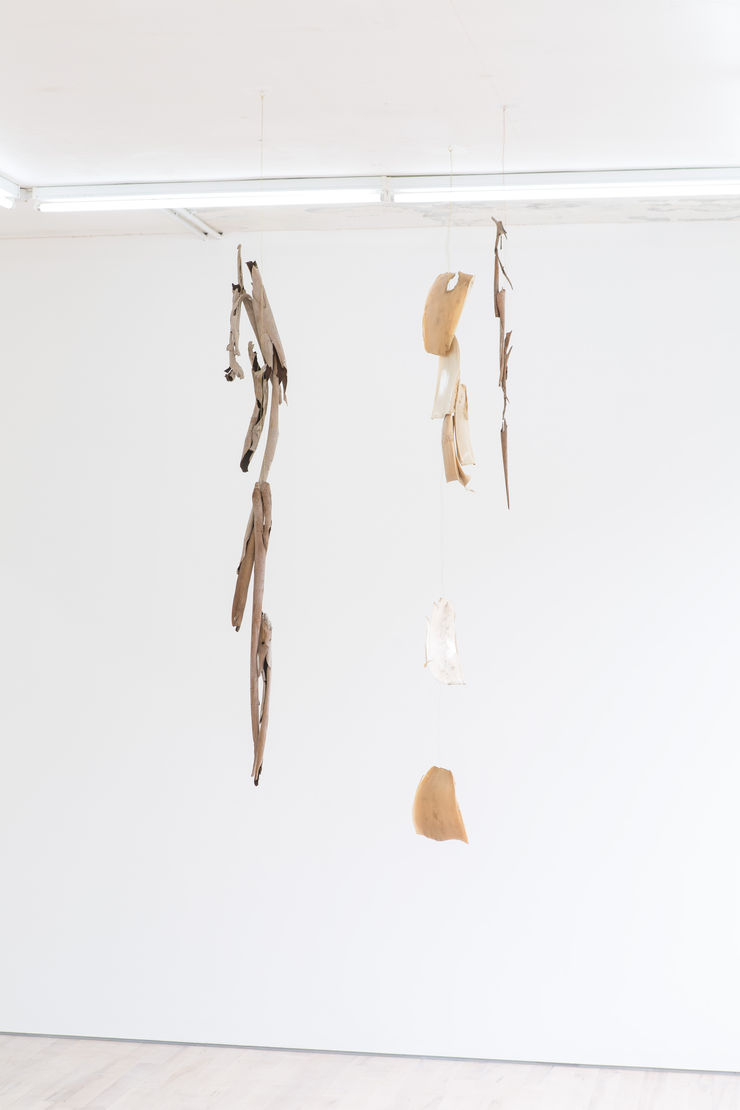 Hannah Lees Eternal Return I, 2014 / Come and Go, 2014 Eucalyptus bark, brass wire Giant Bamboo sheathes, brass wire 186 x 24 x 5 cm / 210 x 20 x 6 cm