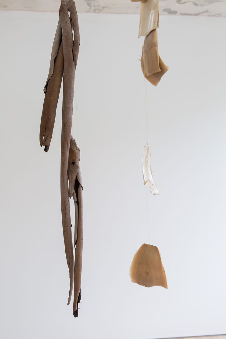 Hannah Lees Eternal Return I, 2014 / Come and Go, 2014 Eucalyptus bark, brass wire Giant Bamboo sheathes, brass wire 186 x 24 x 5 cm / 210 x 20 x 6 cm
