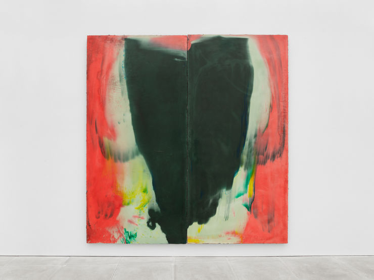 Harminder Judge: Rising Skin from Rock and Chin