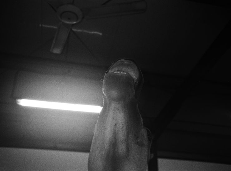 Farah Al Qasimi Toy World