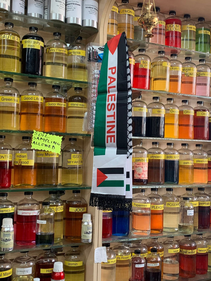 Alicia Mersy, I Wish Palestinians Were Free, 2020. (Courtesy Alicia Mersy)