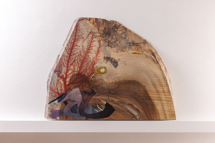 楊茂林, 黯黑的放浪者．密棘鮟鱇M2201, 2022 Yang Mao-Lin,Wanderers of the Abyssal Darkness, Triplewart Seadevil M2201, 2022