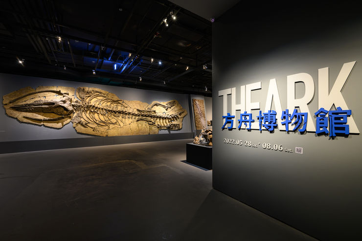 20220528 The Ark 0102 Small