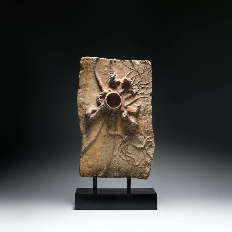 涂維政, 遺跡化石, 2020 Tu Wei-Cheng, Trace Fossil - MB 06, 2020