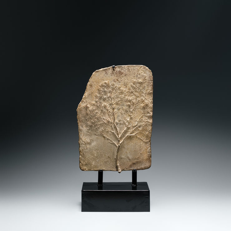 涂維政, 遺跡化石, 2020. Tu Wei-Cheng, Trace Fossil - PM 23, 2020.