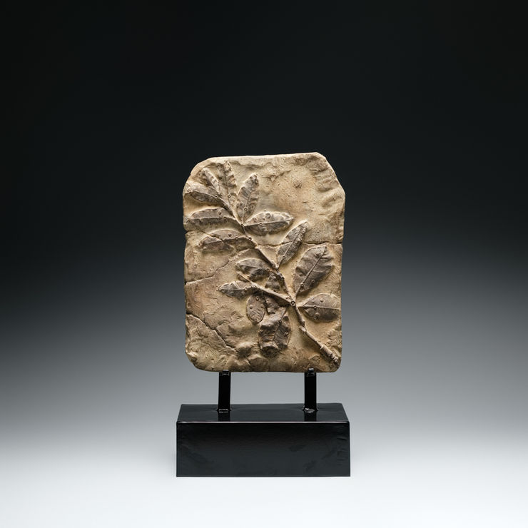 涂維政, 遺跡化石, 2022. Tu Wei-Cheng, Trace Fossil - PM 29, 2022.