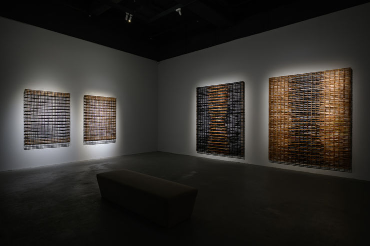 20221105 Walking The Woods 0008 Small