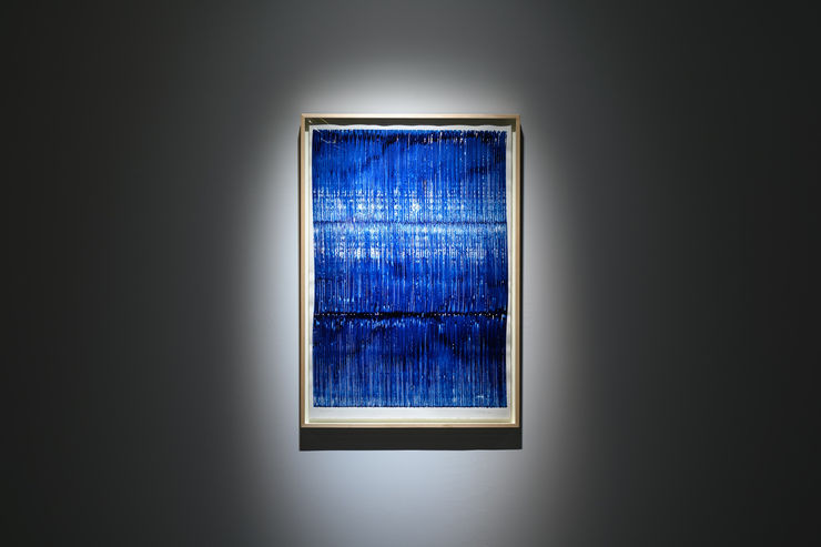 20221105 Walking The Woods 0015 Small