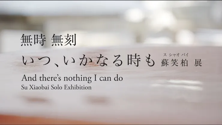無時無刻, 蘇笑柏　日本兵庫縣立美術館個展