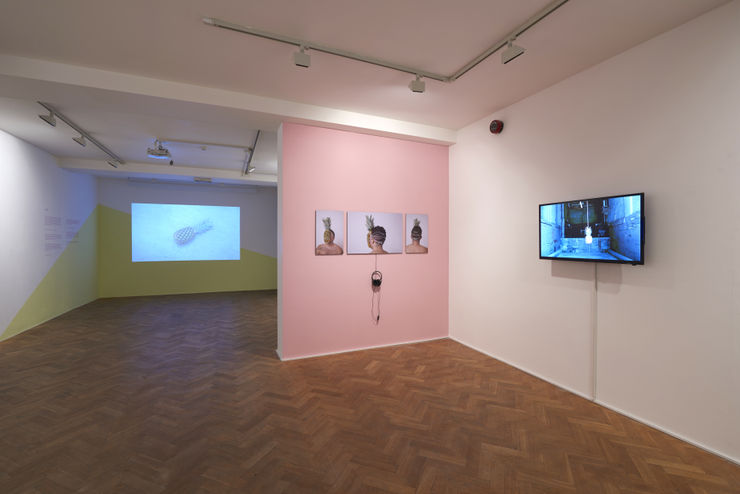 The Pineapple Show Curated By Zina Saro Wiwa Tiwani Contemporary 2016 Sylvain Deleu 3