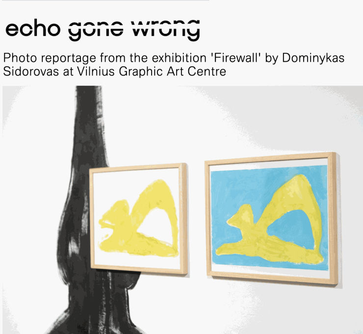 'Firewall' by Dominykas Sidorovas on Echo Gone Wrong 