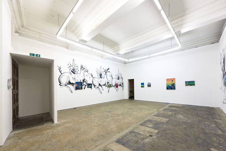 Photographed by John McKenzie