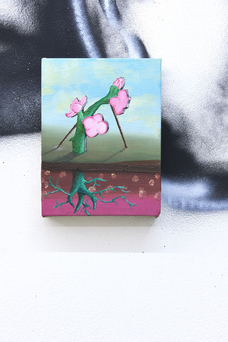 Photographed by John McKenzie