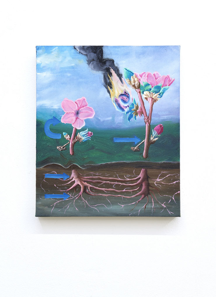 Photographed by John McKenzie