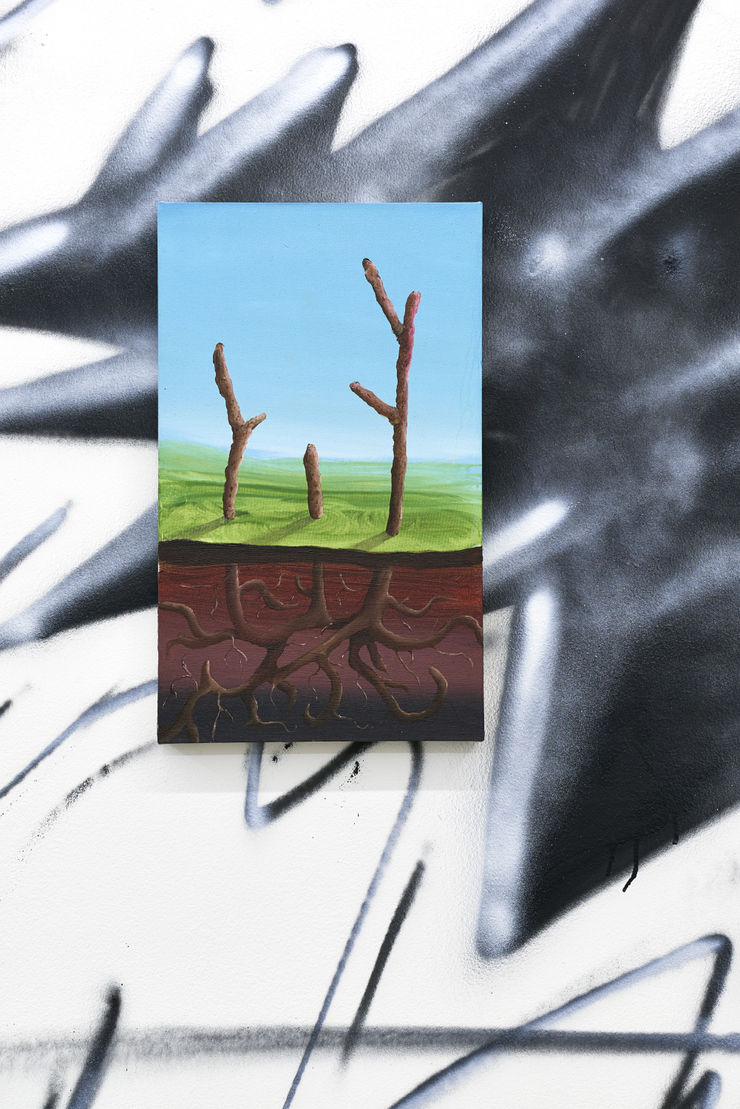 Photographed by John McKenzie