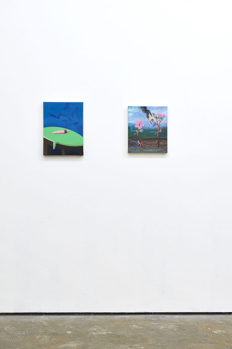 Photographed by John McKenzie