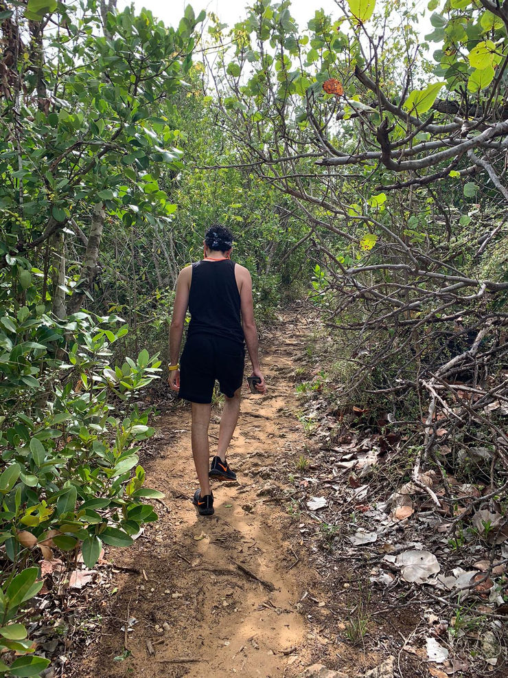 8C4Faed7 9F6C 49E2 Ba72 6Caed2F950B6