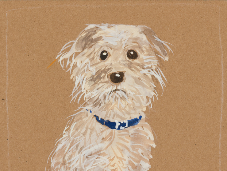 Robert Andrew Parker, Cairn Terrier, 4/29/2004, watercolor on cardboard, 11 3/4 x 8 in.