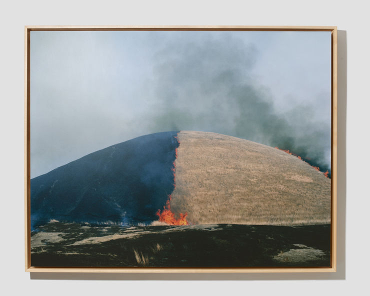Rinko Kawauchi, Untitled, from the series Ametsuchi, 2012