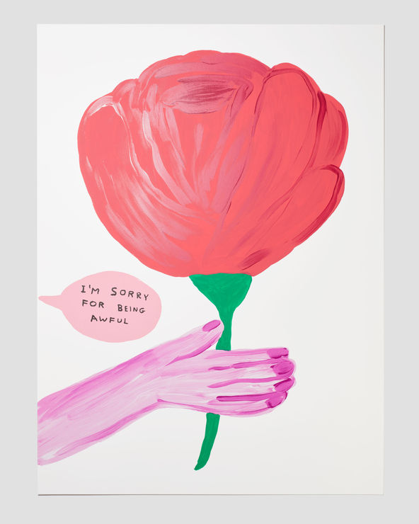 David Shrigley, I'm Sorry For Being Awful, 2018