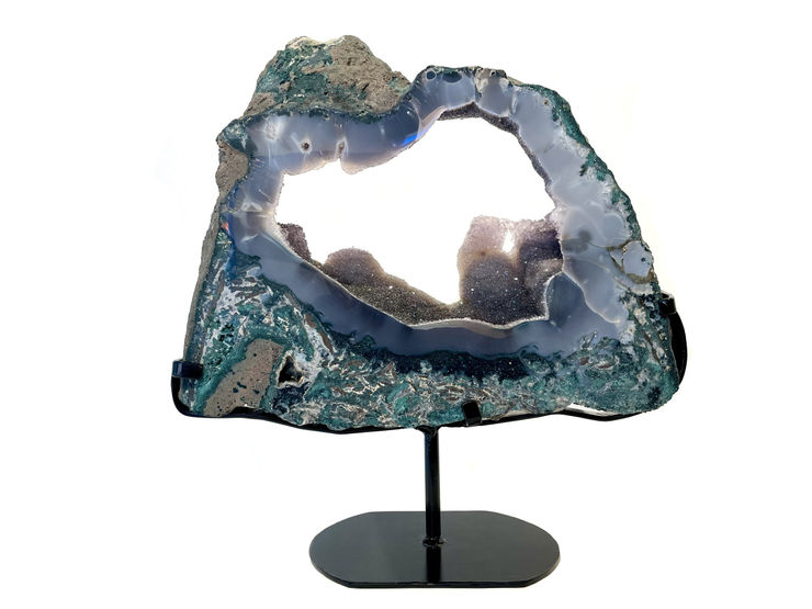 Some Of My Best Friends Are Dinosaurs